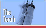 Making A Torah