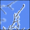 Love in the Ice Age