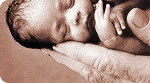 Miracle Babies